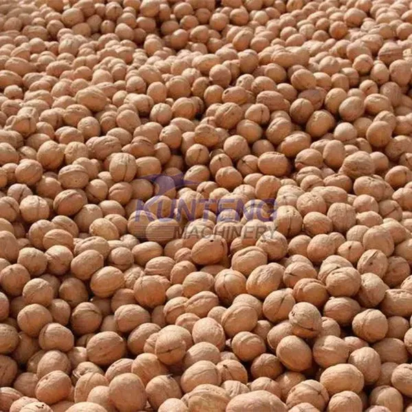Rice Dryer Machine Drying Oven Corn Germ Flakes Malt Soya Residue Drying Machine for Peanut Barley Crops Dehydrator EPC photo-5