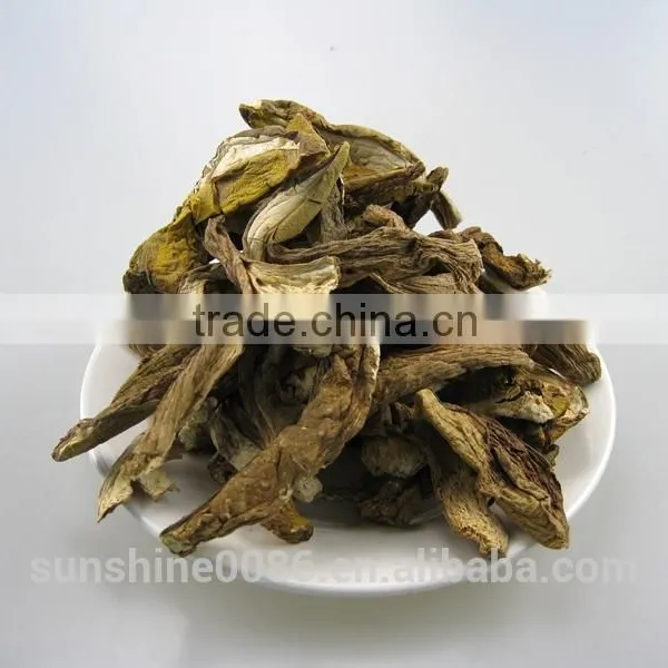 Dried Boletus Edulis Sliced Porcini Mushroom Farm Investors photo-2
