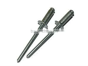 Rivet Nail1 photo-5
