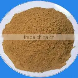 Cinnamon Powder