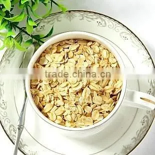 Pet/snack/soya Protein Food Dryer photo-4