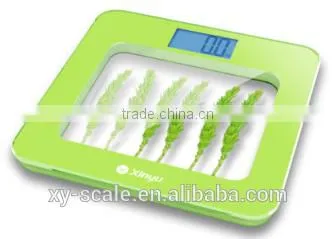 Bathroom Scale
