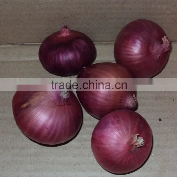 Fresh Onion Red Onion From Pakistan ( Naqshbandi Enterprises )