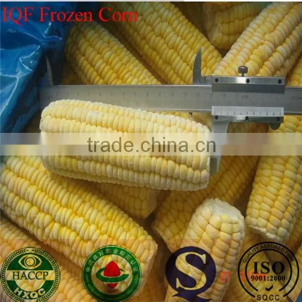 Wholesales IQF Vegetables Iqf Frozen Sweet Corn