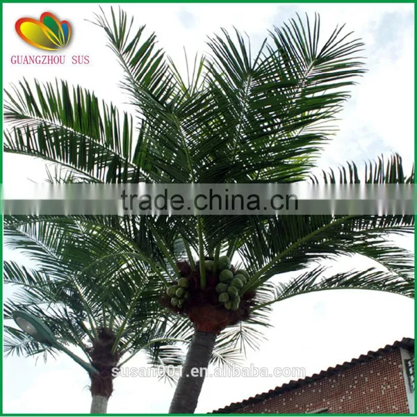 Hot Sale High Quality Artificial Mini Coconut Palm Tree photo-5