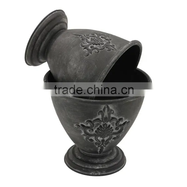 Hot Sale Indoor Plants Ficus Microcarpa Bonsai photo-2