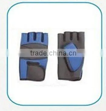 Weight Lifting Gloves