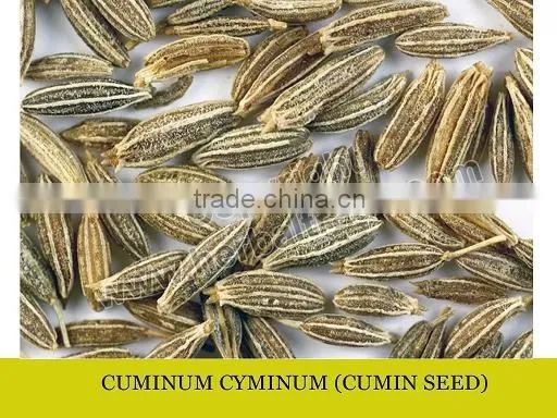 CUMIN SEEDS