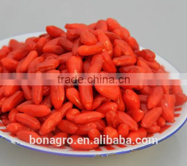New Crop Certified Organic NingXia Goji Berry Free Sample