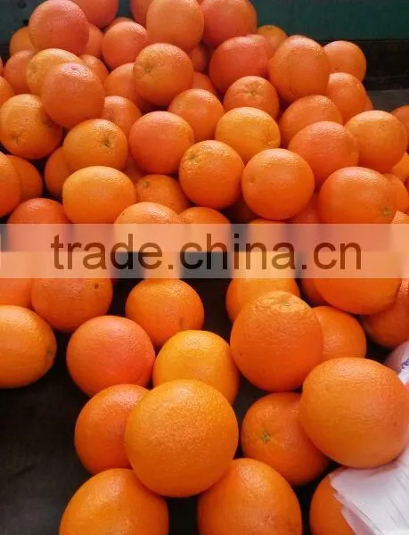 Fresh Oranges