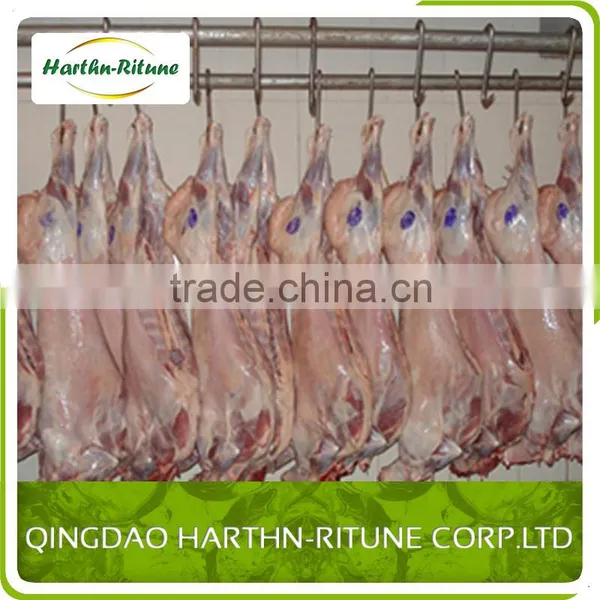 Halal Meat Wholesale Frozen Lamb Carcass photo-5