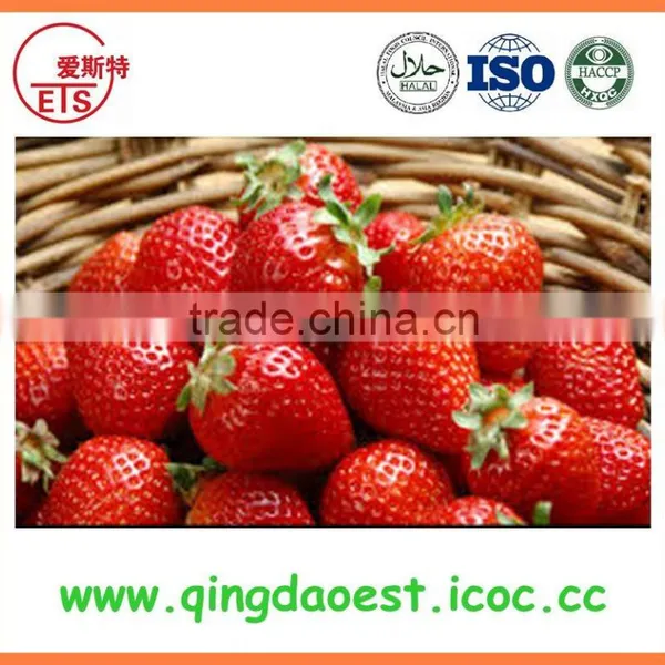 For Sale Chinese High Quality Fresh Strawberry photo-5