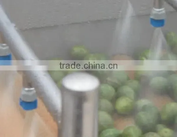 Automatic Vegetable and Fruit Apple Orange Washer Spray Washing and Drying Machine photo-4