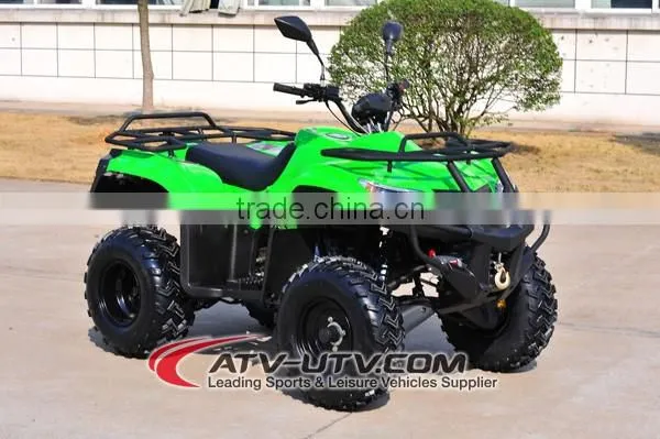 250cc EEC Approved Adult Cheap Dune Buggy (AT2503) photo-2