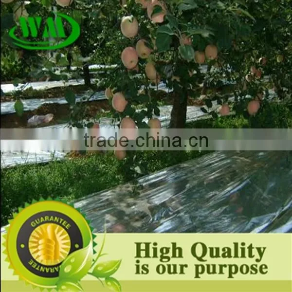 High Quality Agricultural Reflective Silver Mulch Film photo-2