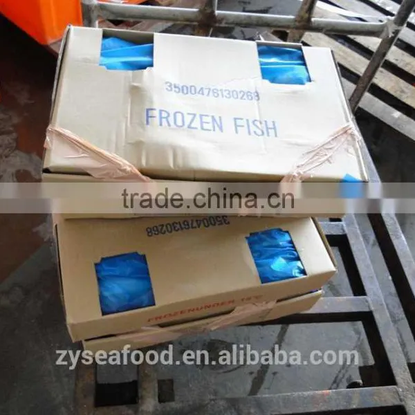 Frozen Sardine Sardinops Melanosticta photo-4