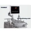 Ivis60 Digital Color Doppler