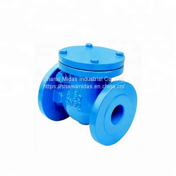 DIN Ductile Cast Iron Swing Check Valve PN25 photo-5