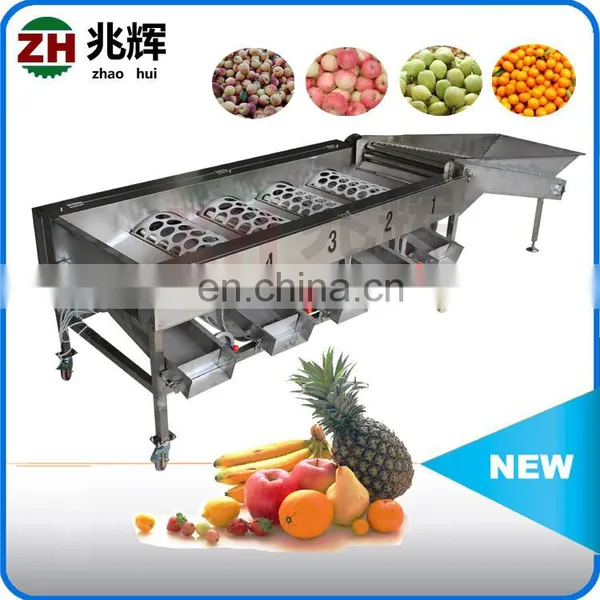 Commercial Apple Fruit Grader Apple Sorting Machine photo-3