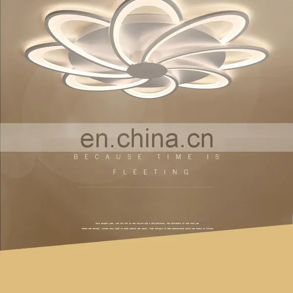 Living Room Lamp Simple Modern Home Bedroom Ceiling Lamp Led Creative Personality Nordic Whole House Lamp Manufacture photo-2