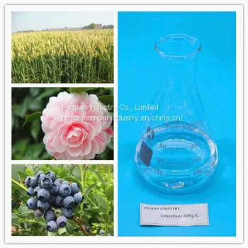 Factory Supply Pant Growth Regulator Ethephon 480g/l Ripening for Fruits and Vegetables photo-3
