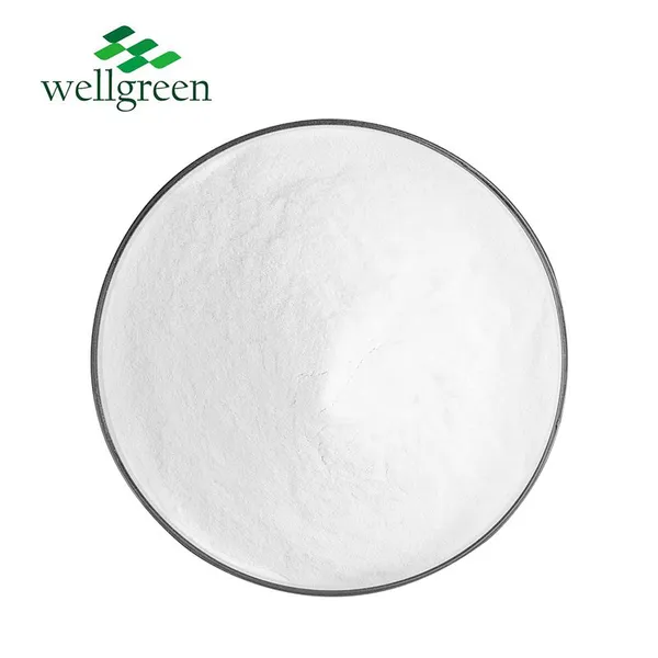 Wellnature Food Additive Vitamin B6 Powder Pyridoxine HCl Multivitamin Vitamin B6 photo-2