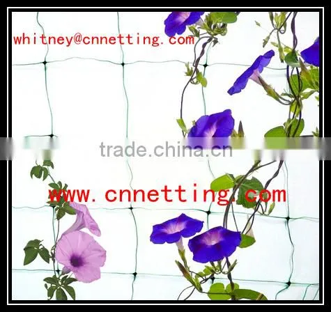 1.2x1000m 8gsm Retangle Mesh 150x170mm Tomato Wire Netting/climbing Plant Support/trellis for Climbing Plant photo-4