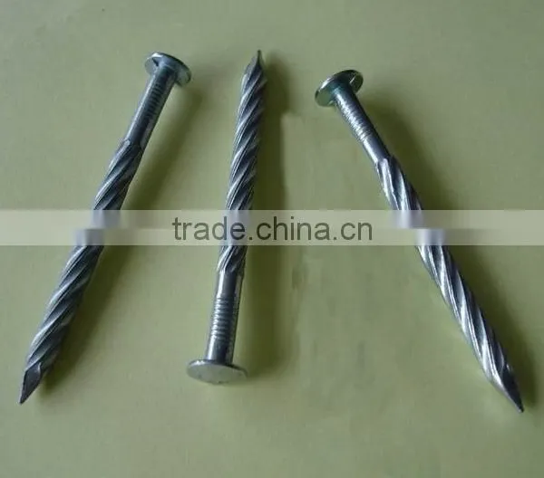 Galvanized Twisted Shank Nails Factory photo-4