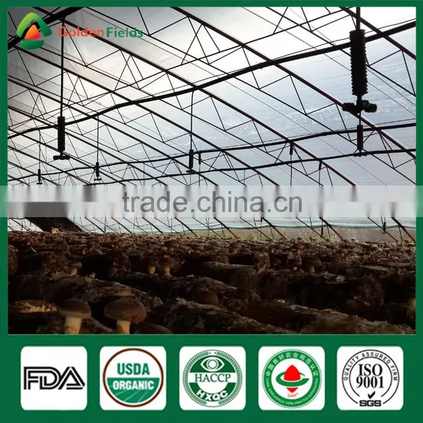 Fresh Dried Shiitake Mushroom Growing Shiitake Mushroom Log Spawn for Mushroom Farm photo-4
