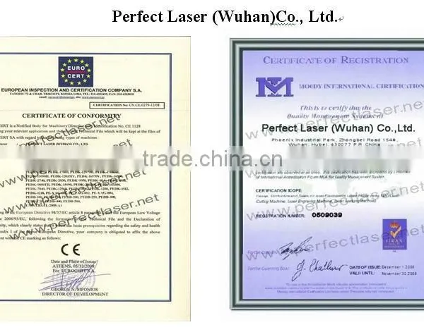 Serial Number/design,/multi-language/ LOGO/the Self Lattice Inkjet Printer PM200 photo-6