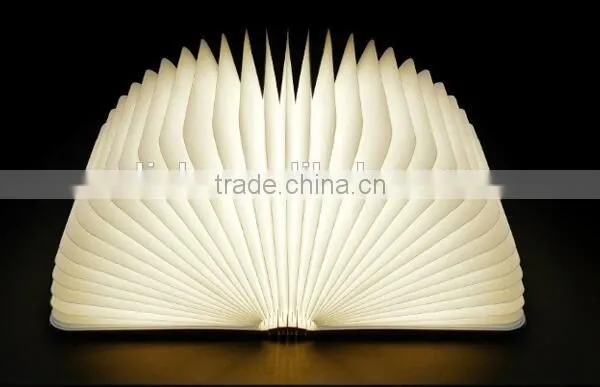Mini Version LED WOODY Book Lamp photo-2