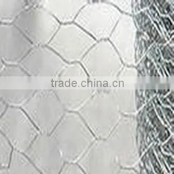Cheap Chicken Rabbit Galvanized Hexagonal Wire Mesh photo-3