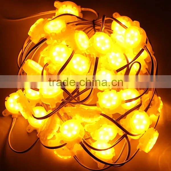 Single Color for Led Letter Advertising DC 12V Led Pixel String for Outdoor Using With High Illuminated photo-2