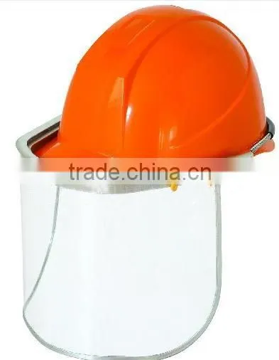 Face Shield