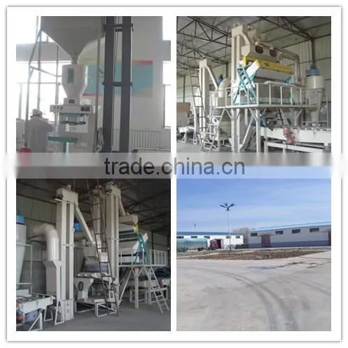 Sunflower Seeds 5009 Inner Mongolia 2015 Crop photo-3