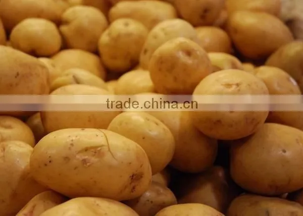 Fresh Potatoes