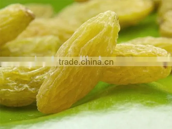 Raisin, Xinjiang Origin Raisin, Green Raisin, All Kinds of Raisins