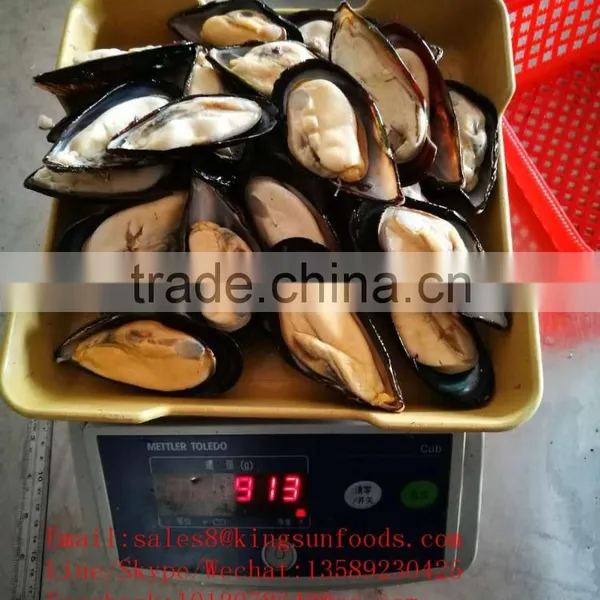 Wholesale High Quality Half Shell Mussel With Good Price photo-2