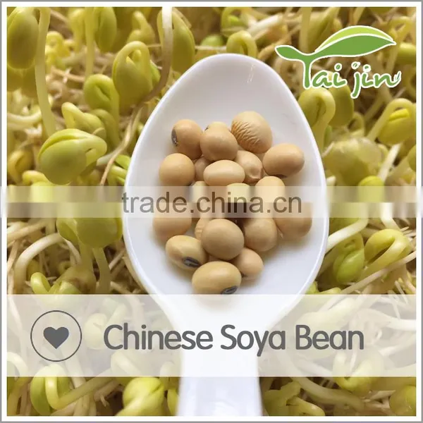 Export China Soybean in Bulk photo-6