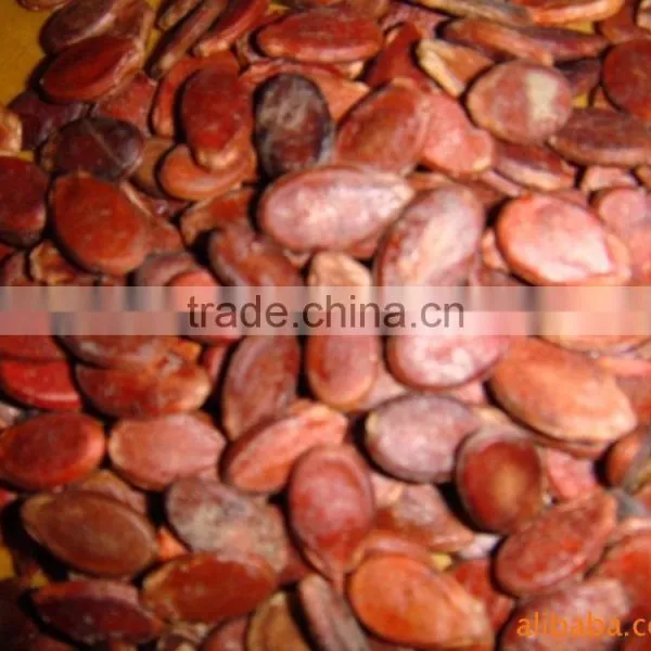 China Red Watermelon Seeds for Middle-East Market