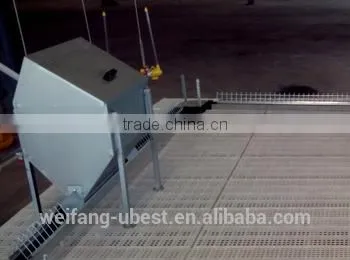 Automatic Rearing Breeders Chicken Farm Equipment photo-5