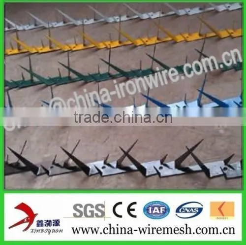 Galvanized Steel Wall Spikes / Anti-climb Spikes/ Security Spikes (factory ) photo-2