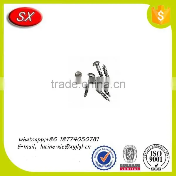Customized Head Painted Steel Decorative Screws for Furniture Fasteners photo-2