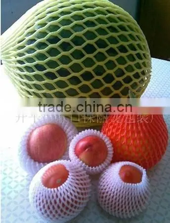 Life-long Maintenance CE Approved PE Foam Fruit Net Extrusion Machine photo-3
