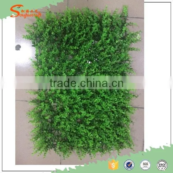 Evergreen Artificial Green Wall/boxwood Green Wall Ornaments Plants photo-4