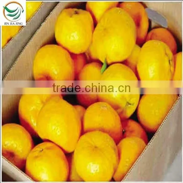 Orange Buyers photo-5