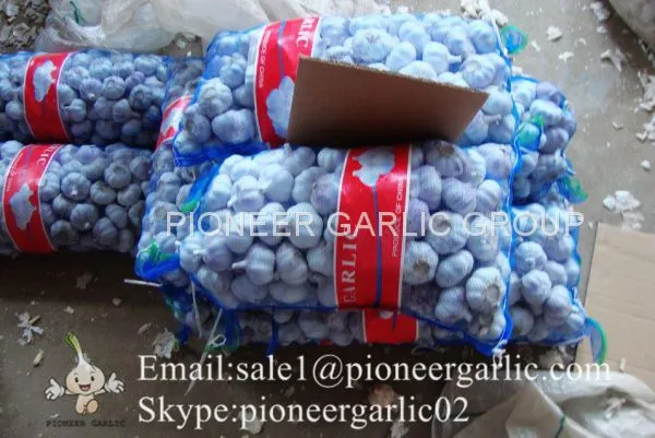 4.5-5cm Normal White Chinese Fresh Garlic In Mesh Bag Packing photo-4