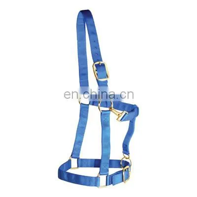 Horse pp Webbing Halter
