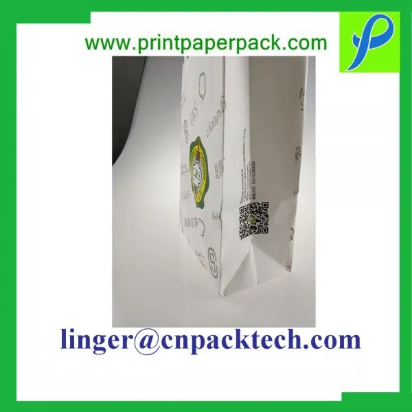 Talior Made Size and Printing Cardbaord Gift Bag With Paper Handle photo-4