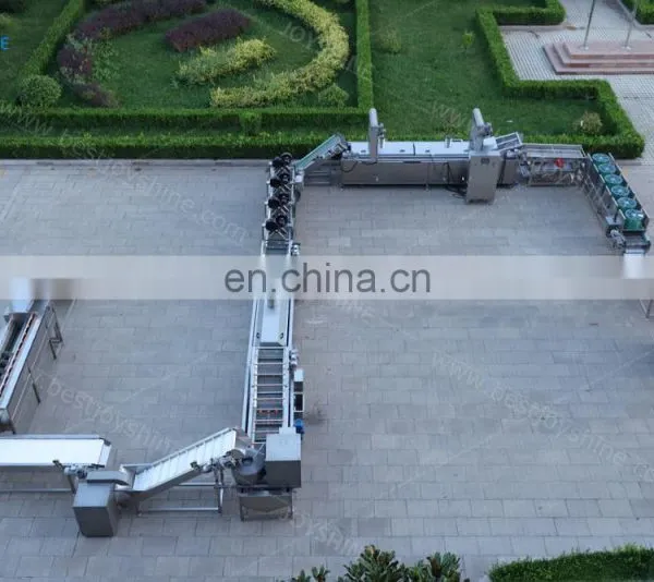 Automatic Small Potato Chips Line Frozen Potato Sticks Processing Line photo-7